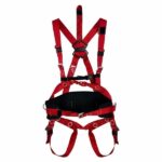 Arnés de Seguridad A50B