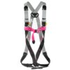 Arnés Accesus A40B, imagen actual del fabricante