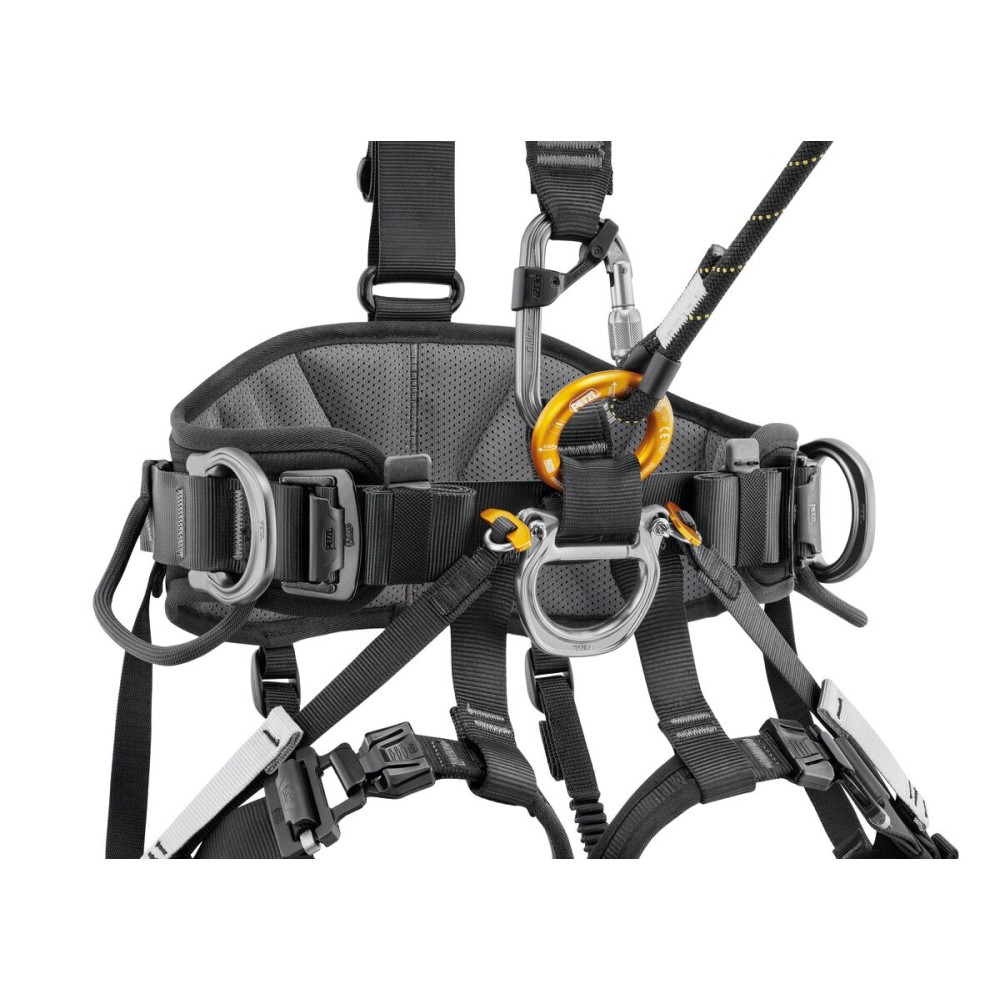 C071BB00-AVAO-FAST-focus-2_LowRes