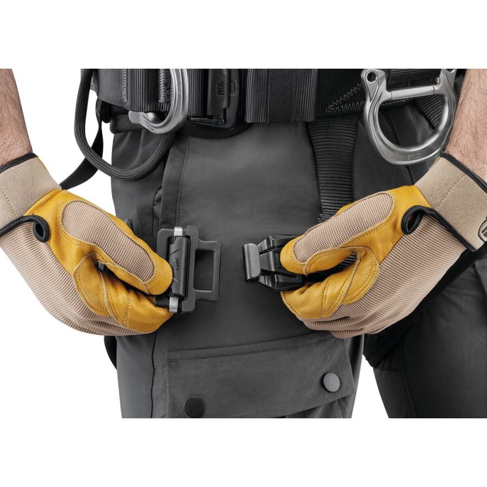 C071BB00-AVAO-FAST-focus-4_LowRes